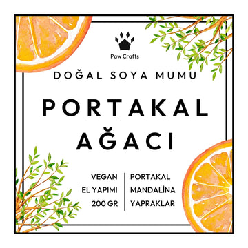 Portakal Ağacı Kokulu Mum - Yeniden Doldurma - Paw Crafts  - 7489097