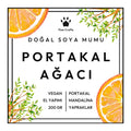 Kokulu Doğal Mum - Portakal Ağacı - Paw Crafts  - 86916914