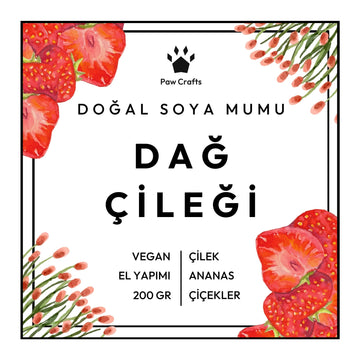 Dağ Çileği Kokulu Mum - Yeniden Doldurma - Paw Crafts  - 92229065