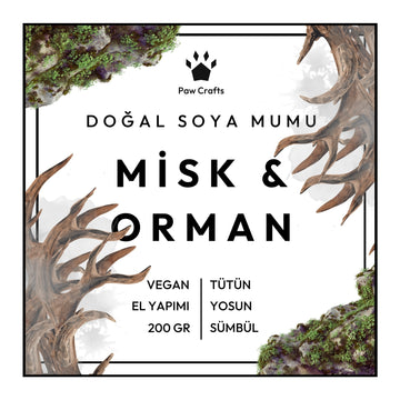 Misk & Orman Kokulu Mum - Yeniden Doldurma - Paw Crafts  - 4885697